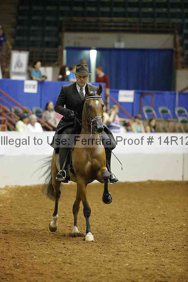 Proof Number 14r12_8396