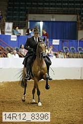 14r12_8396 thumbnail