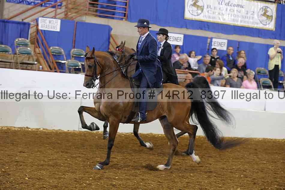 Proof Number 14r12_8397