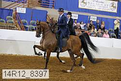 14r12_8397 thumbnail