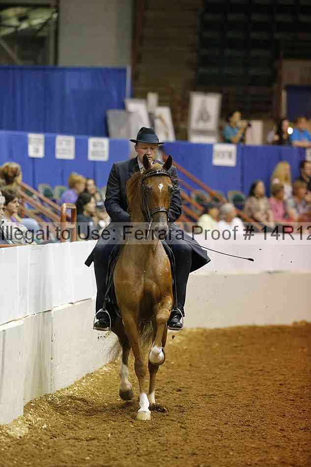 Proof Number 14r12_8398