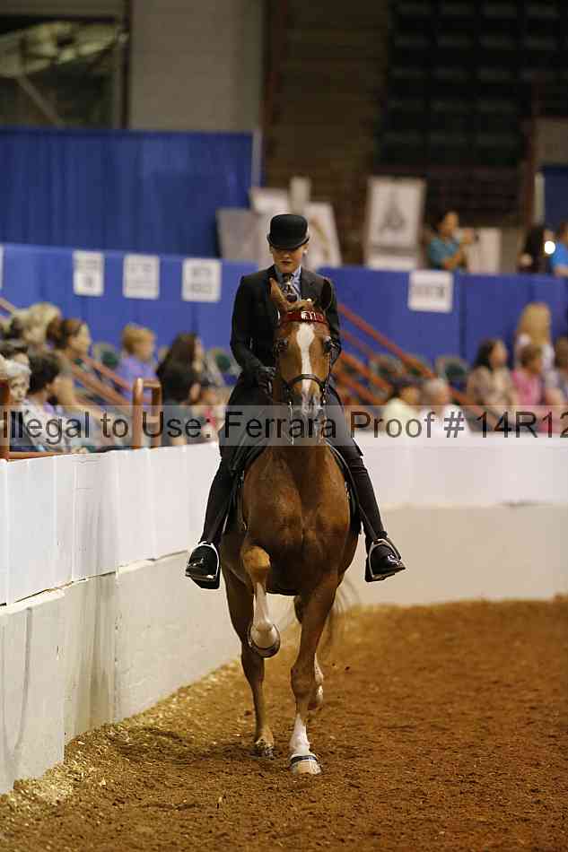 Proof Number 14r12_8399