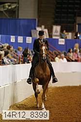 14r12_8399 thumbnail