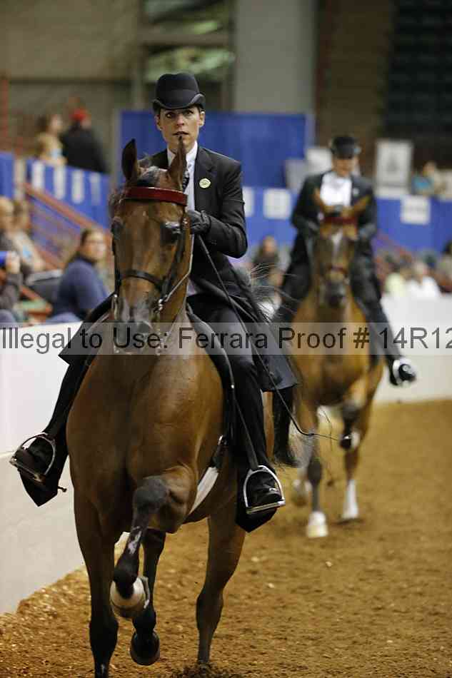 Proof Number 14r12_8400