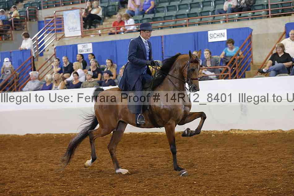 Proof Number 14r12_8401
