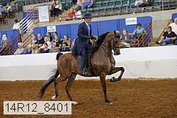 14r12_8401 thumbnail