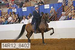 14r12_8402 thumbnail