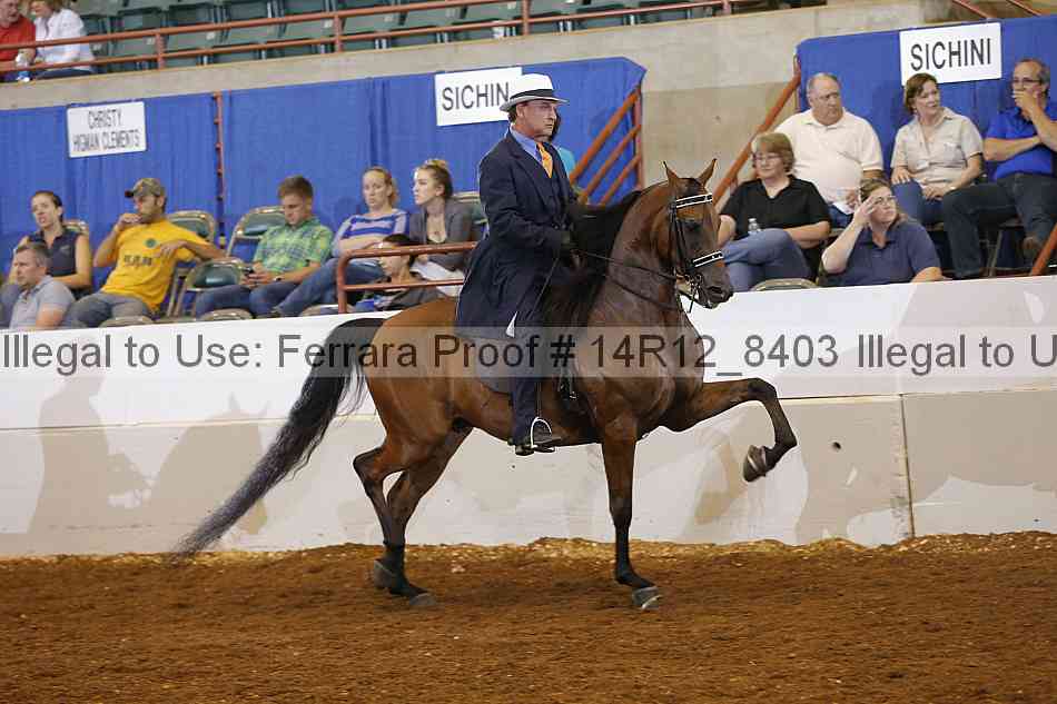 Proof Number 14r12_8403