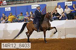 14r12_8403 thumbnail