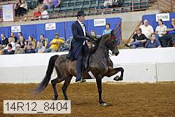 14r12_8404 thumbnail