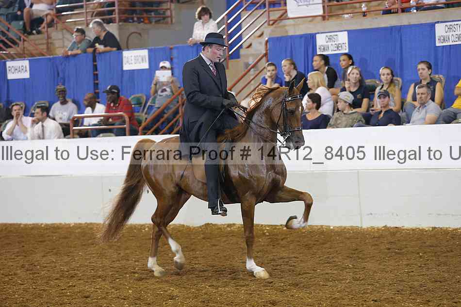 Proof Number 14r12_8405