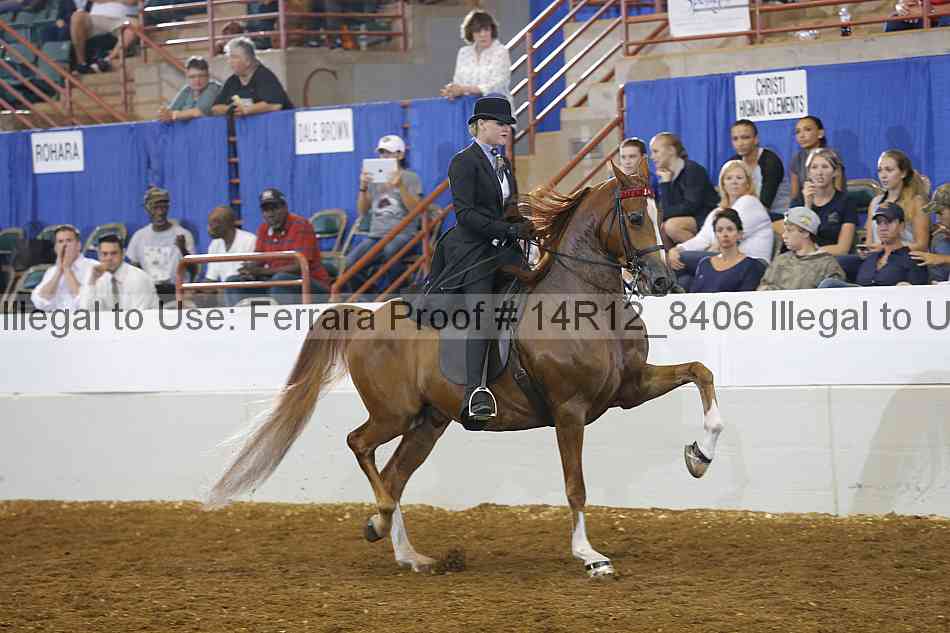 Proof Number 14r12_8406