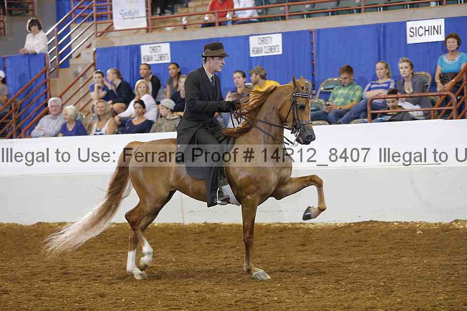Proof Number 14r12_8407