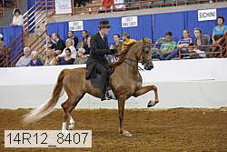 14r12_8407 thumbnail