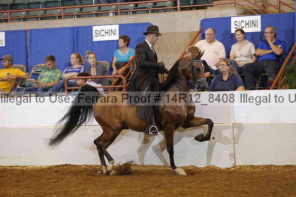 Proof Number 14r12_8408