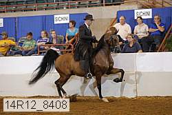 14r12_8408 thumbnail