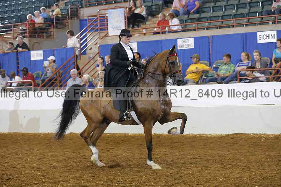 Proof Number 14r12_8409