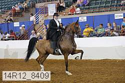 14r12_8409 thumbnail