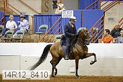 14r12_8410 thumbnail