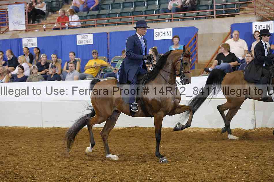 Proof Number 14r12_8411