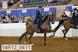 14r12_8411 thumbnail