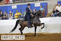 14r12_8412 thumbnail