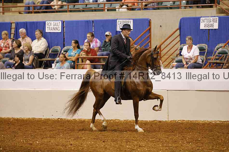 Proof Number 14r12_8413