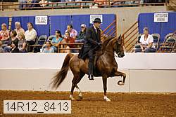 14r12_8413 thumbnail