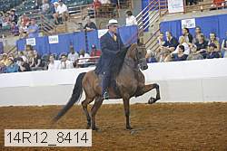 14r12_8414 thumbnail