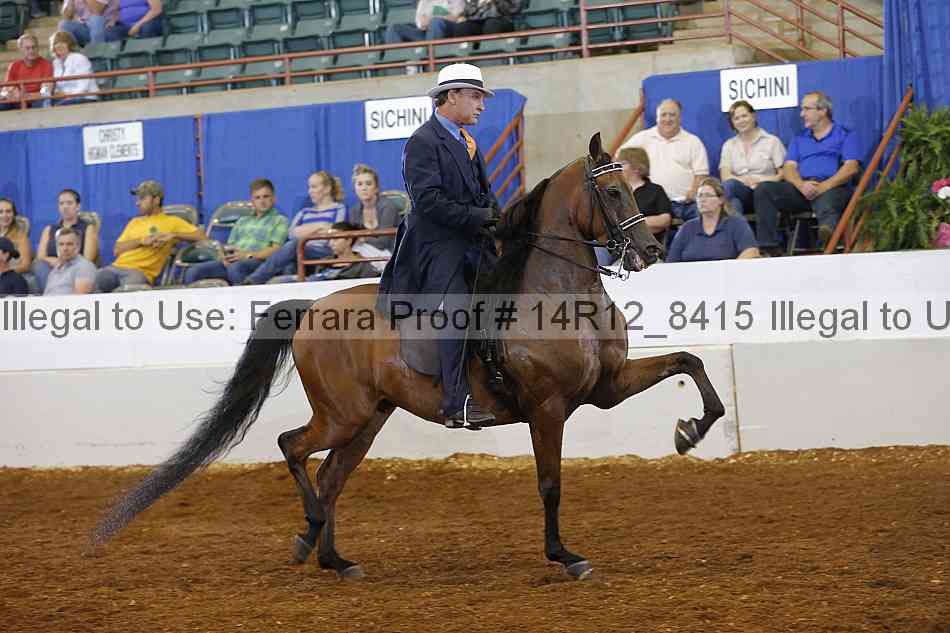 Proof Number 14r12_8415