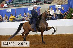 14r12_8415 thumbnail