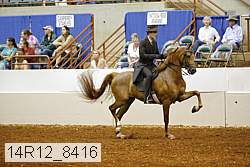 14r12_8416 thumbnail