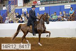 14r12_8417 thumbnail