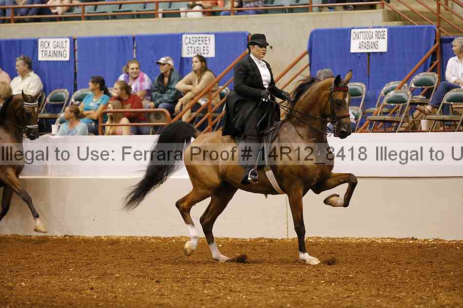 Proof Number 14r12_8418