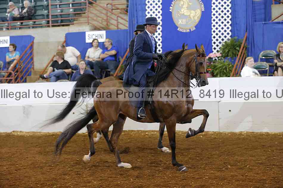 Proof Number 14r12_8419