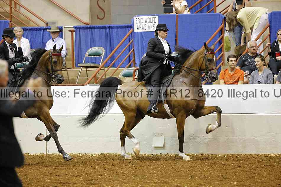 Proof Number 14r12_8420