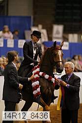 14r12_8436 thumbnail