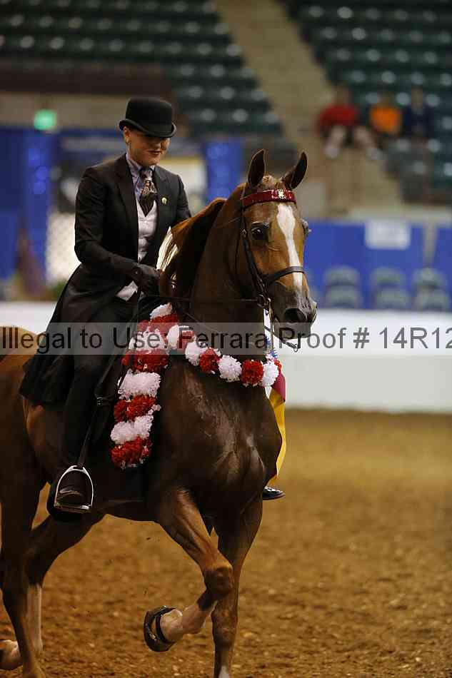 Proof Number 14r12_8438