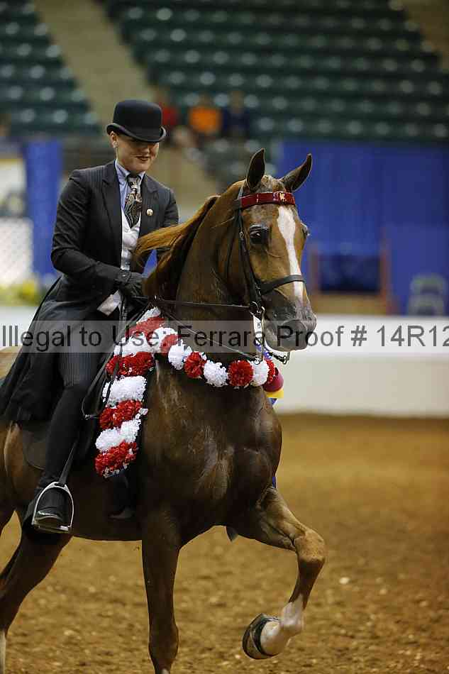 Proof Number 14r12_8439