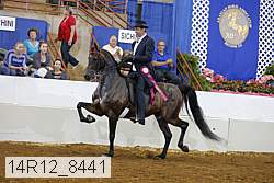 14r12_8441 thumbnail
