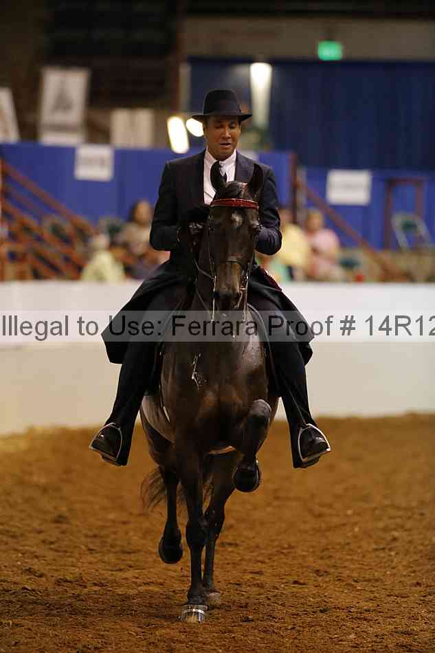 Proof Number 14r12_8442
