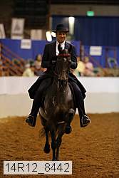14r12_8442 thumbnail