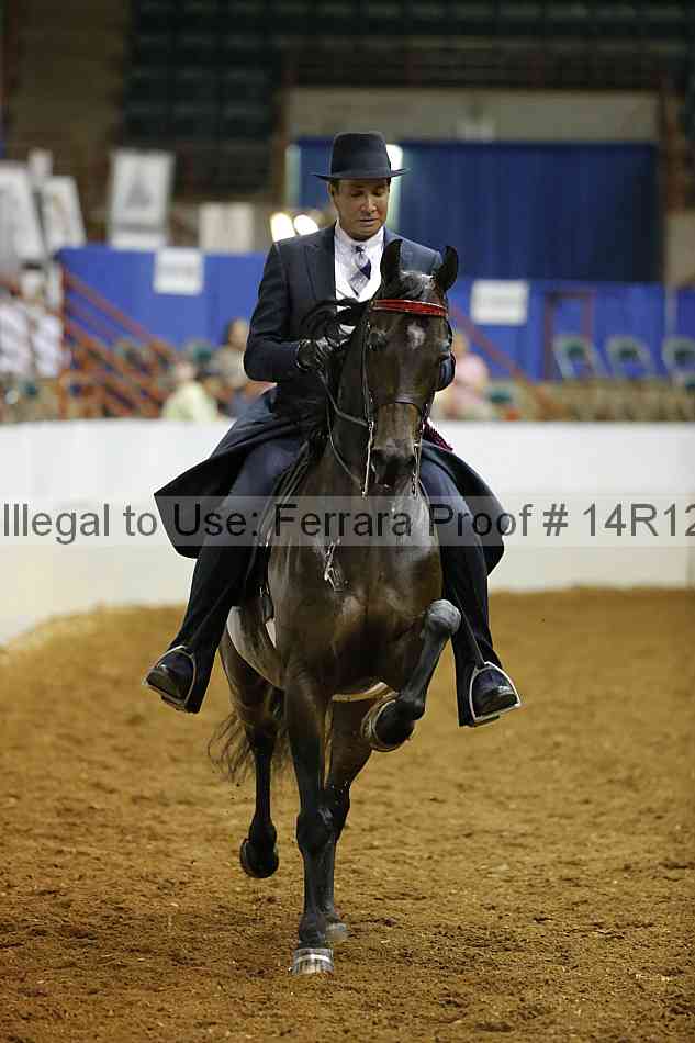 Proof Number 14r12_8443