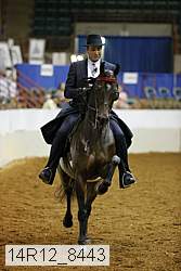 14r12_8443 thumbnail