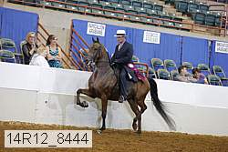 14r12_8444 thumbnail