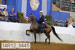 14r12_8445 thumbnail