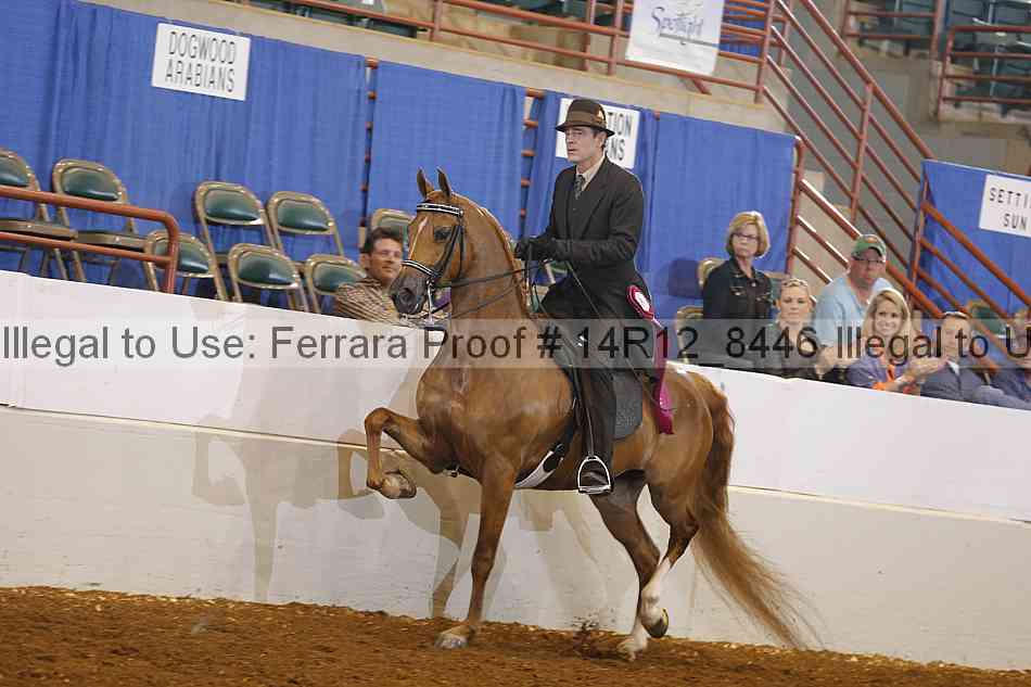 Proof Number 14r12_8446