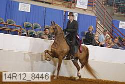 14r12_8446 thumbnail