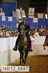 14r12_8447 thumbnail