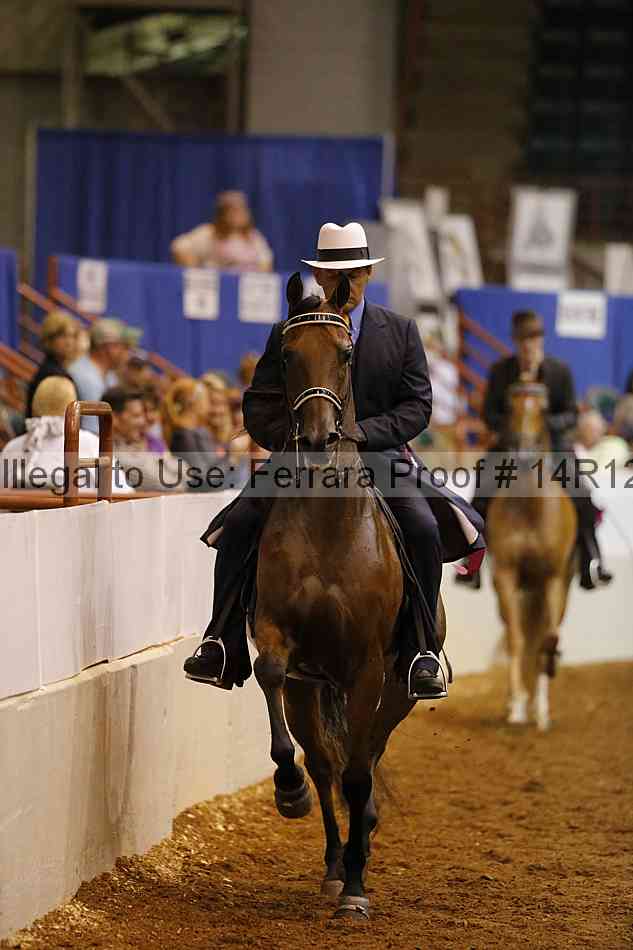 Proof Number 14r12_8448